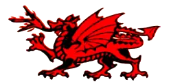 Custom Application Logo